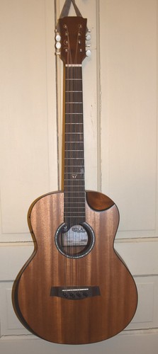 Mandolino octave convertito - octave, da