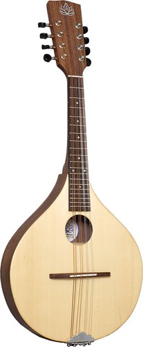 Mandolino ashbury rathlin - mandolino,