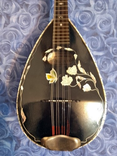 Mandolino napoletano - mandolino,