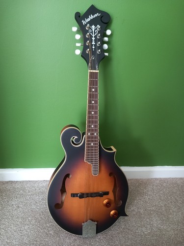 M3ek washburn mandolino - m3ek,