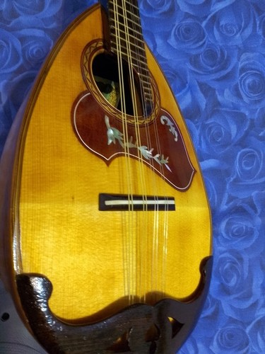 Mandolino giapponese del - giapponese,