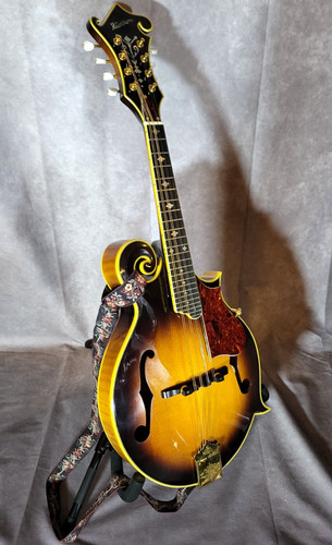 Washburn con mandolino ts - mandolino,