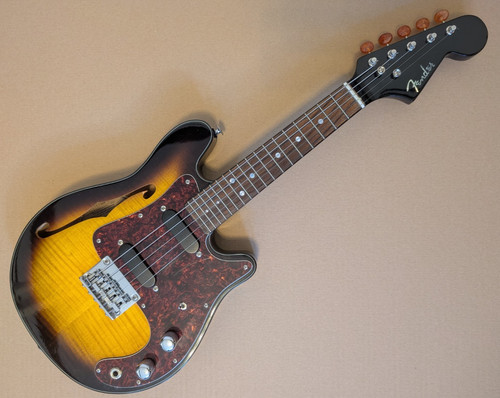 Raro mandolino elettrico - mandolino,