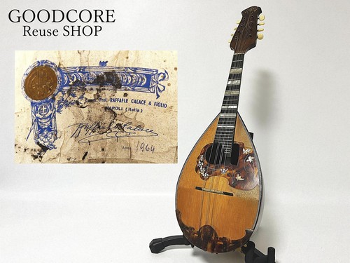 Mandolino raffaele calace 1964 - calace,