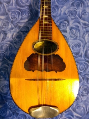 Mandolino napoletano - mandolino,