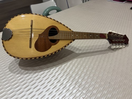Meazzi mandolino acustico - mandolino,