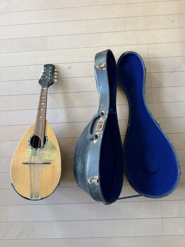 Mandolino suzuki - mandolino,