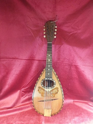 Mandolino farfalla strumento - farfalla,