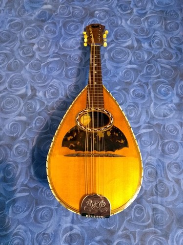 Mandolino napoletano - mandolino,