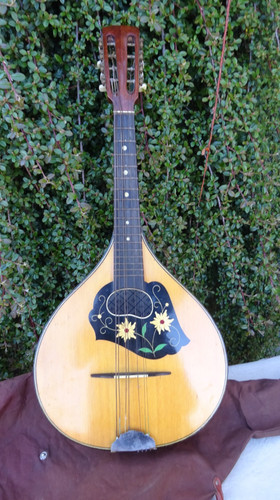 Mandola circa - mandola,
