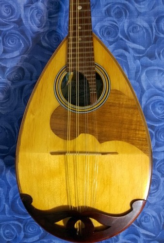 Mandolino giapponese del - mandolino,