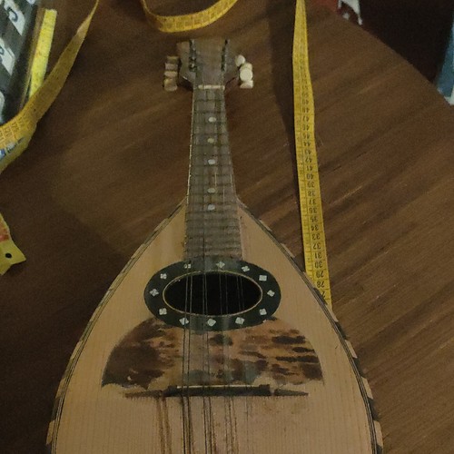 Mandolino acustico stile - mandolino,