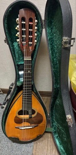 Carrozzeria mandolino suzuki - carrozzeria,