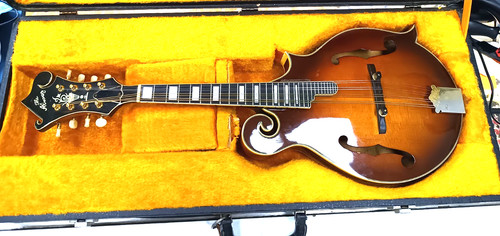 Mandolino corde the alvarez - mandolino, 8