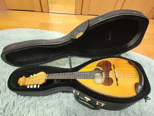 Suzuki 150 master mandolino - m-150,