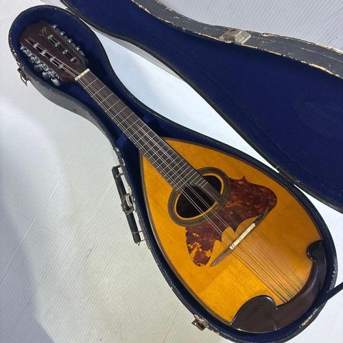 Suzuki mandolino fatto mano - suzuki,
