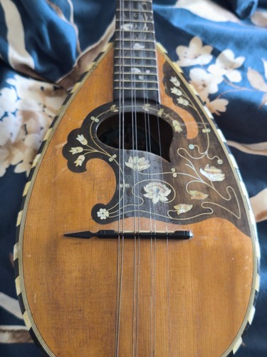 Antico mandolino napoletano