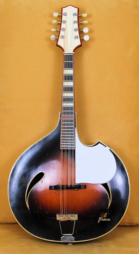 Mandolino framus black - mandolino,