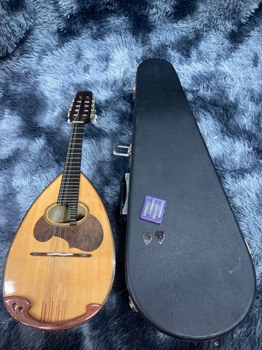 Suzuki mandolino - suzuki,