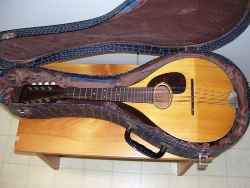 Mandolino vintage 1960 - , stile
