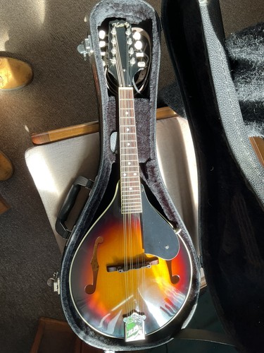 Mandolino kentucky 140s - mandolino,