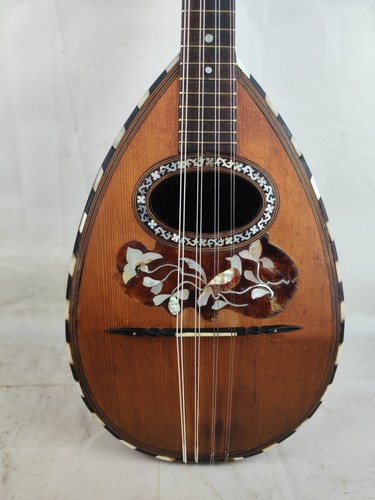 Mandolino domenico - mandolino,