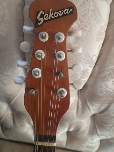 Mandolino posteriore ciotola