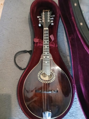 Mandolino eastman md504 - mandolino,
