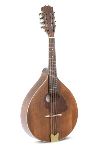 Mandolino mandola pro arte - mandola,