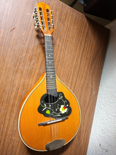 Mandolino strumento musicale