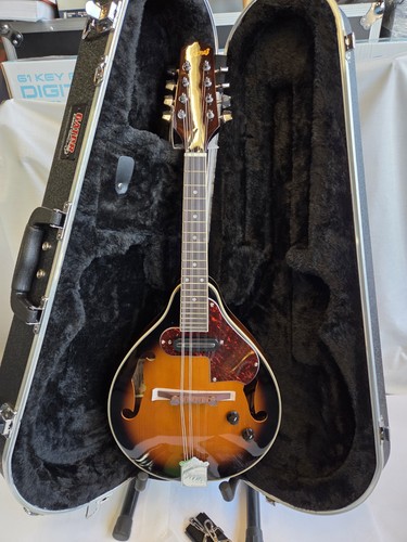 Mandolino elettroacustico