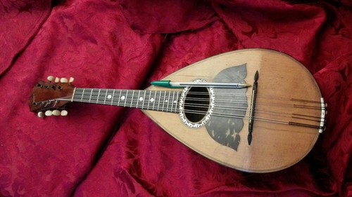 Wonderfull vinaccia 7 - wonderfull,