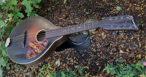 Mandolino kalamazoo - km-11,