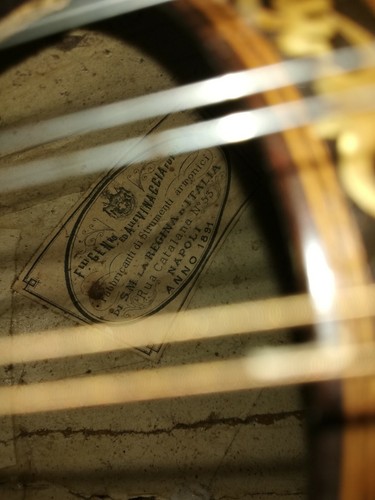 Mandolino napoletano del - mandolino,