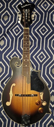 Washburn m3ek custodia - m3ek,