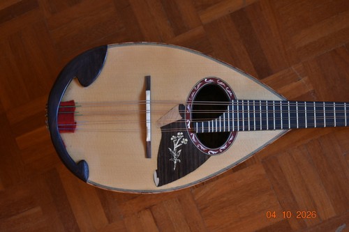 Carlo mazzaccara mandolin - carlo,