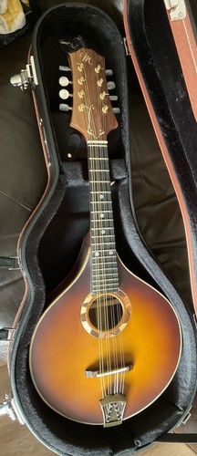 Strumento mandolino stile