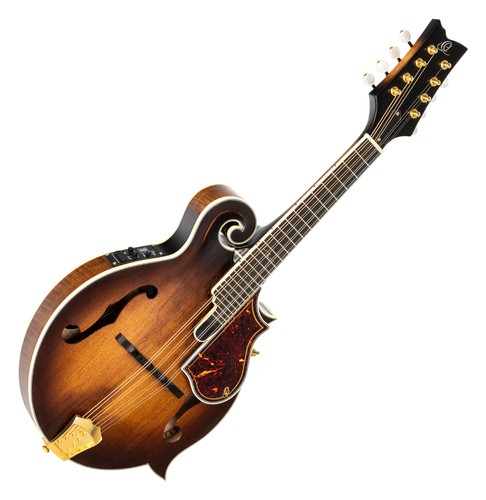Mandolino professionale