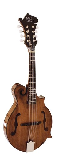 Barnes mullins salvino - &,