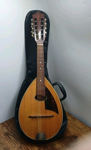 Mandolino ceco corde retro - corde,