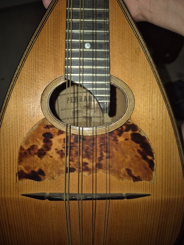 Mandolino perrari napoli - mandolino,
