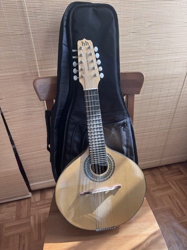 Rozini mandolino acustico - rozini,