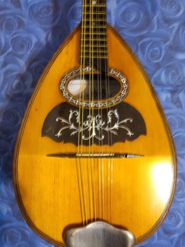 Mandolino napoletano carlo - mandolino,