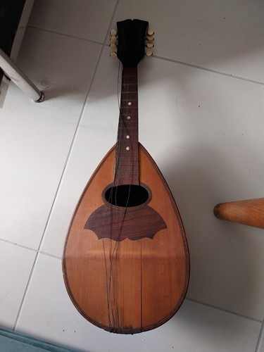 Mandoline ancienne dans son - mandoline,